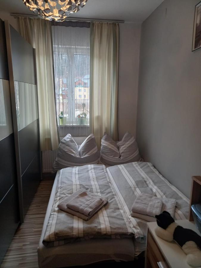 S&W Apartment Loserblick Алтаусзее Екстериор снимка